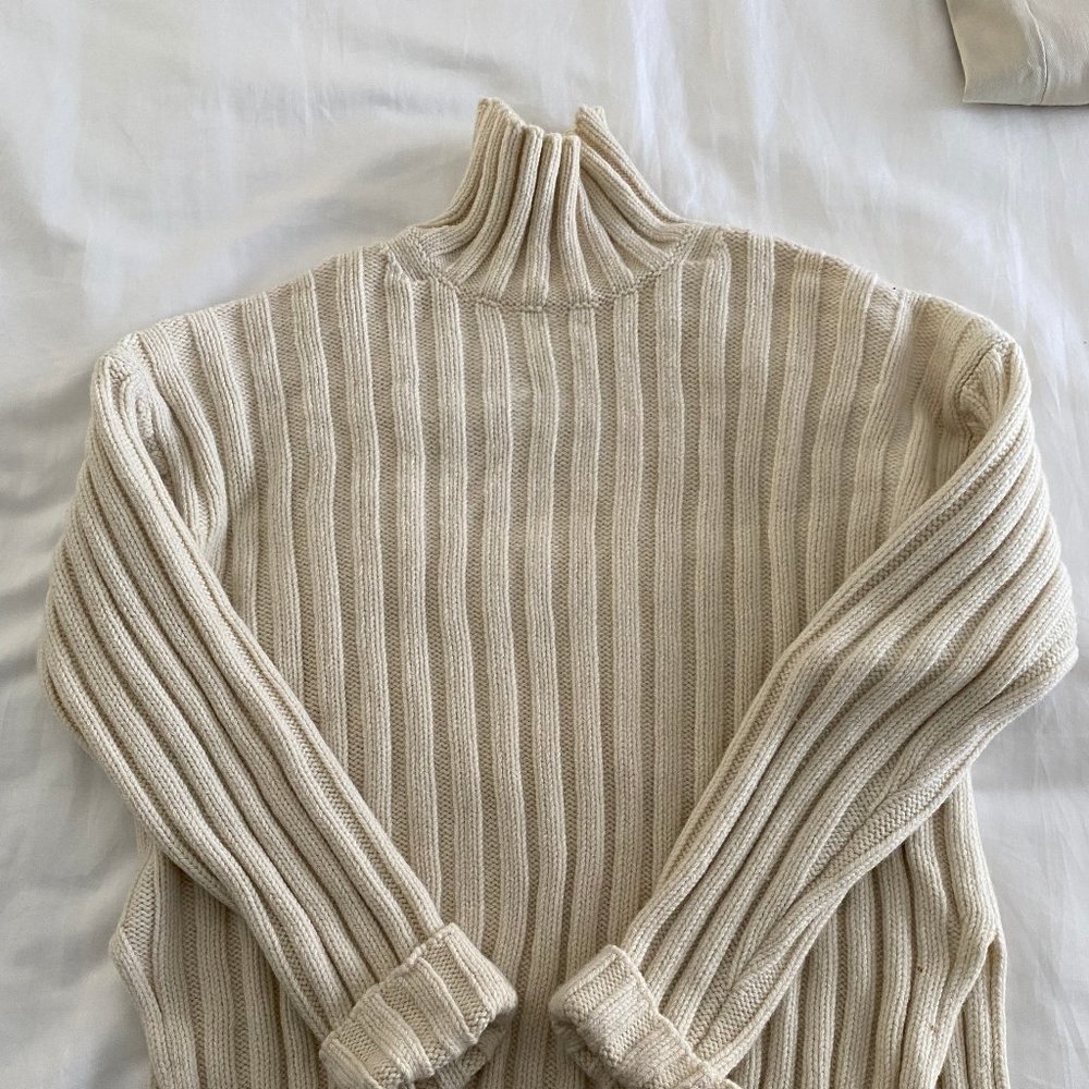Everlane Bulky Knit Woolen Mock Turtleneck Sweater